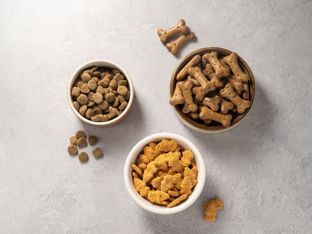 Scopri come gestire il rapporto con il cibo di un cane o gatto schizzinoso per renderlo più sereno e felice.