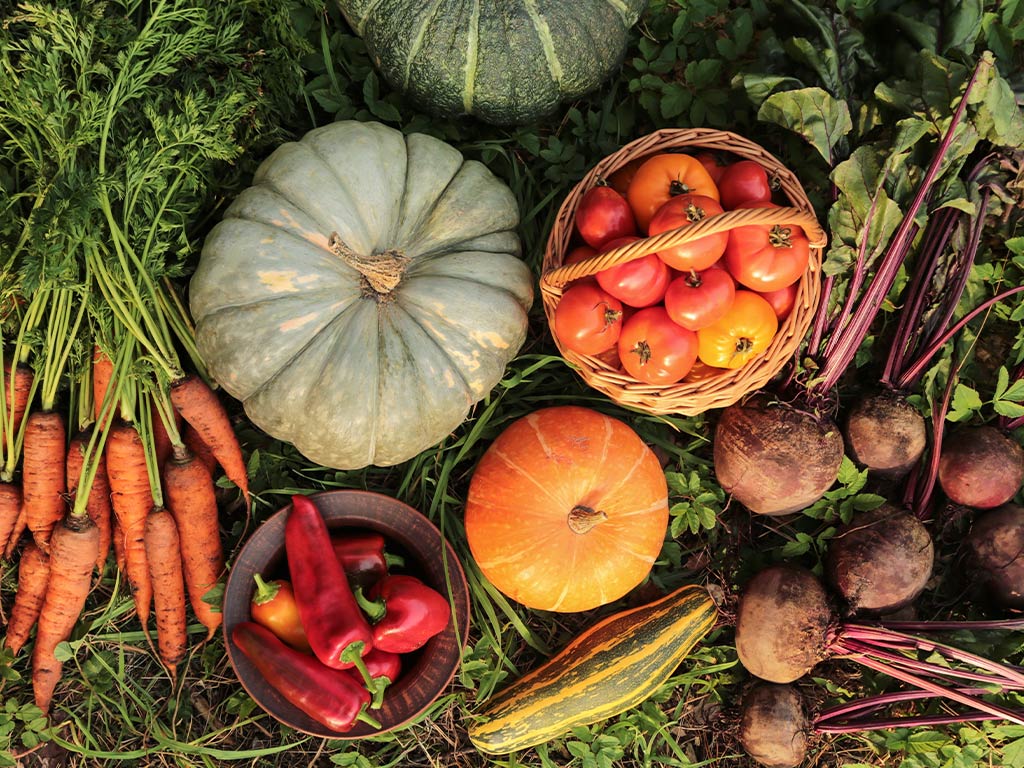 Scopri quali sono i cibi di stagione a settembre: frutta, verdura, benefici e idee pratiche per portarli in tavola ogni giorno.